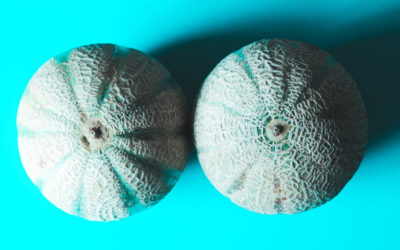 Episode 19: Geek Discussion: All Those Video Game Boobs